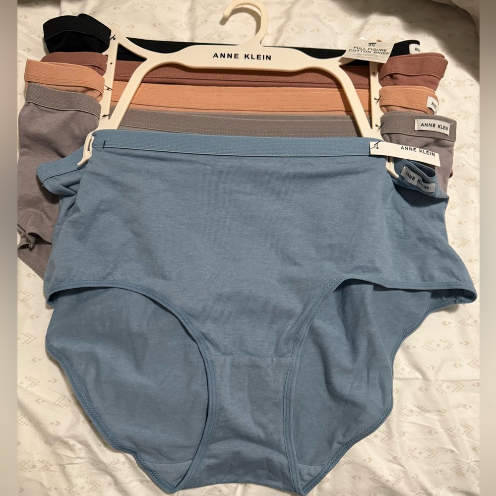 Anne Klein Plus size brief